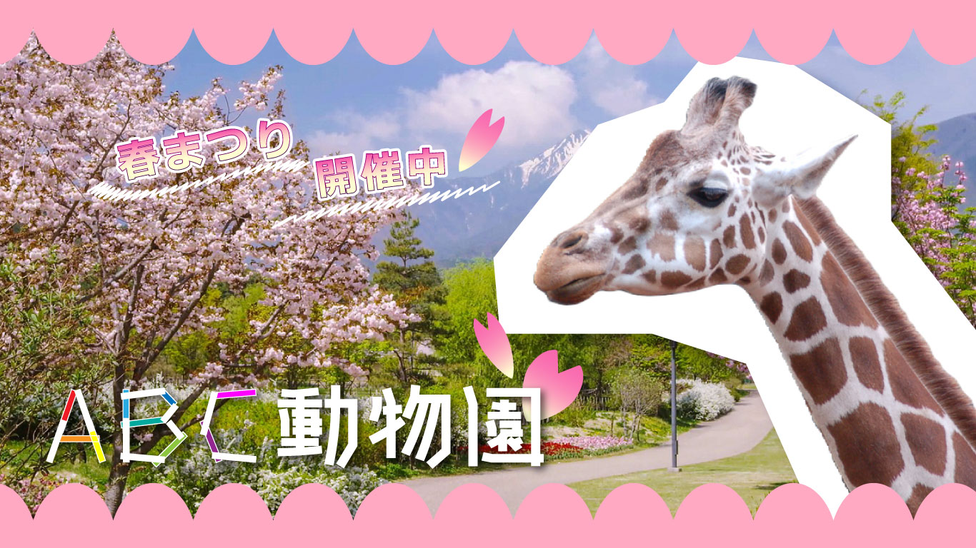 トップ画像